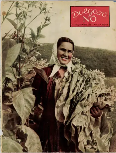 Dolgozó Nő